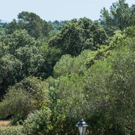 Conchita Βίλα Sencelles Εξωτερικό φωτογραφία